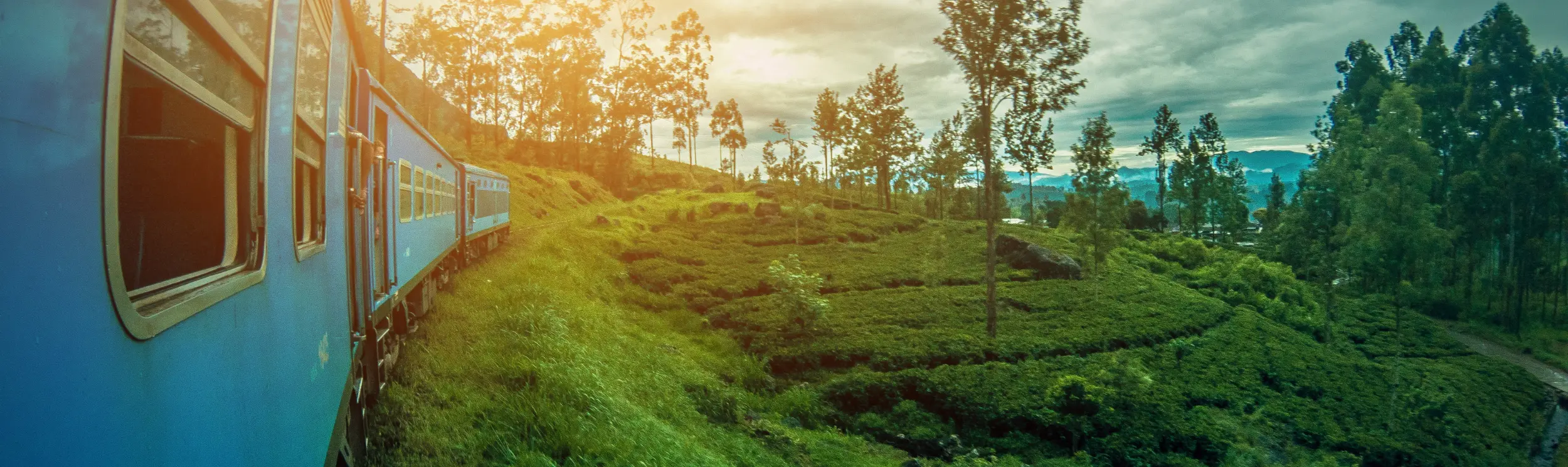 Weeva benefits of slow travel